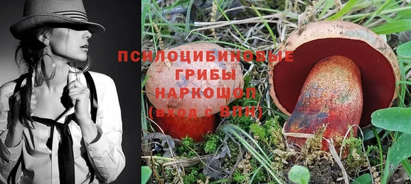 PSILOCYBIN Абинск
