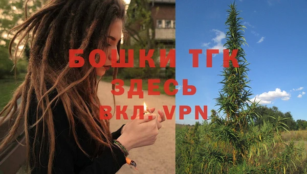 тгк Абаза