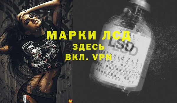 тгк Абаза