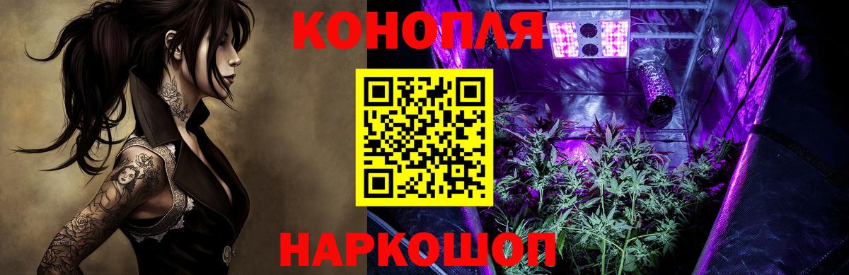 Бошки Шишки White Widow  МАРИХУАНА сатива  Вход с VPN  Конопля сатива  Нефтеюганск 